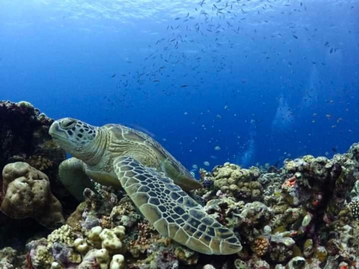 Dea Gili Cottages Гили-Мено Экстерьер фото